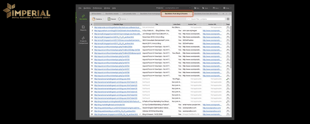 نرم افزار website audit