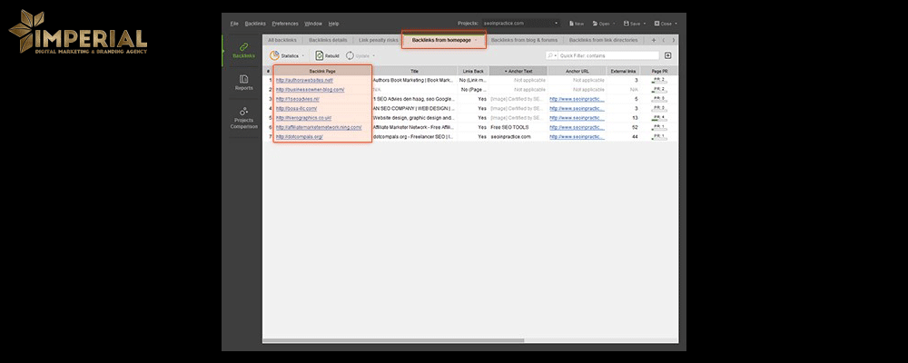 نرم افزار website audit