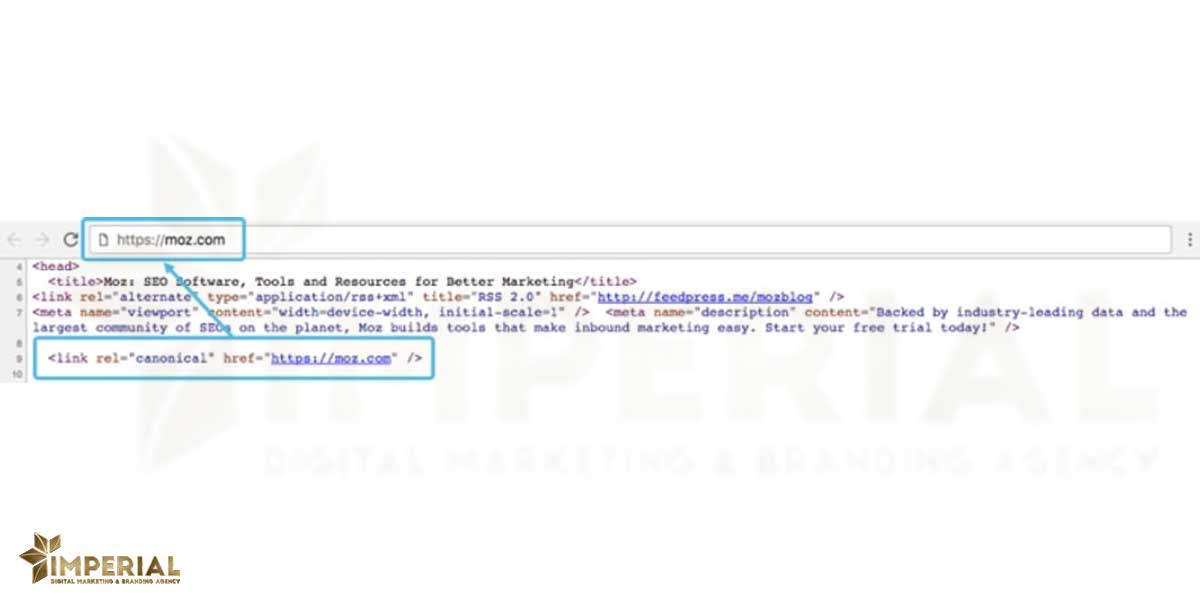 تگ کانونیکال ارجاع داده شده 