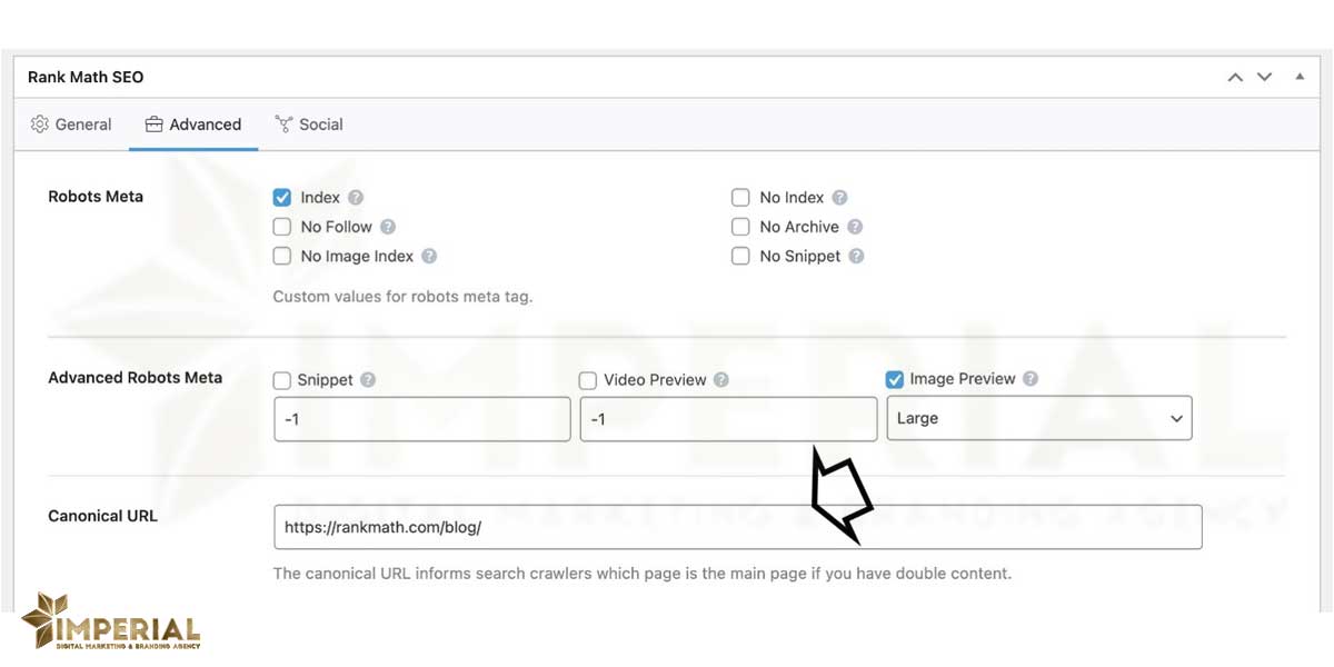 تگ کانونیکال