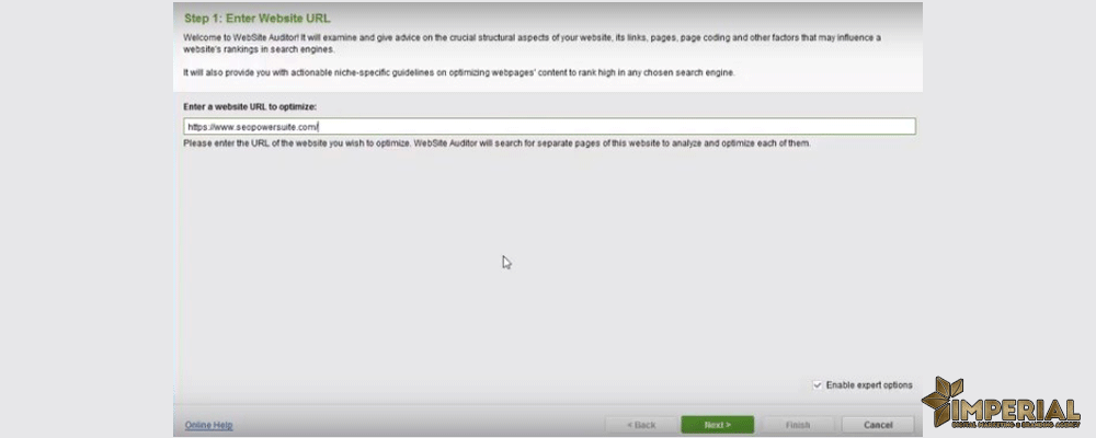 نرم افزار website audit